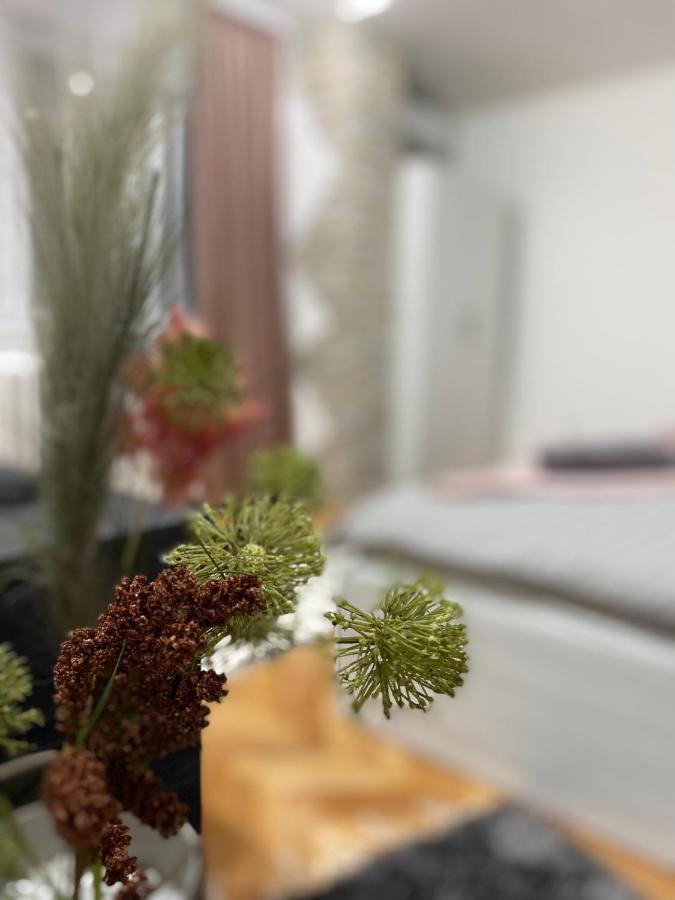 Bonaca Apartament