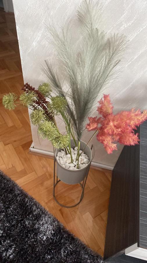 Apartament Bonaca Ni